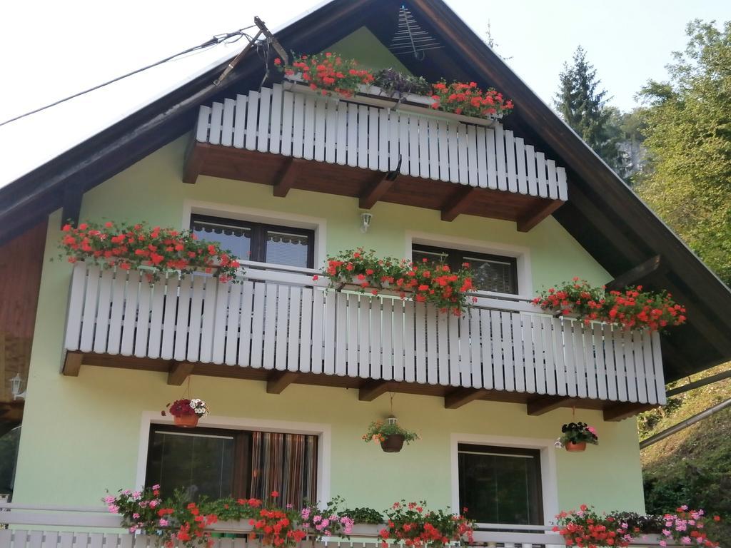 Apartment Zvan Bohinj Room photo
